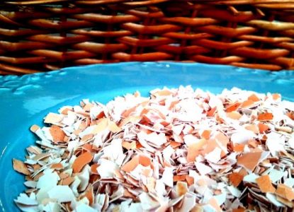 10 Practical Uses for Eggshells Image